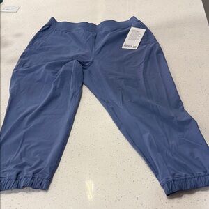 Lululemon Adapted State HR Cropped Jogger in Blue